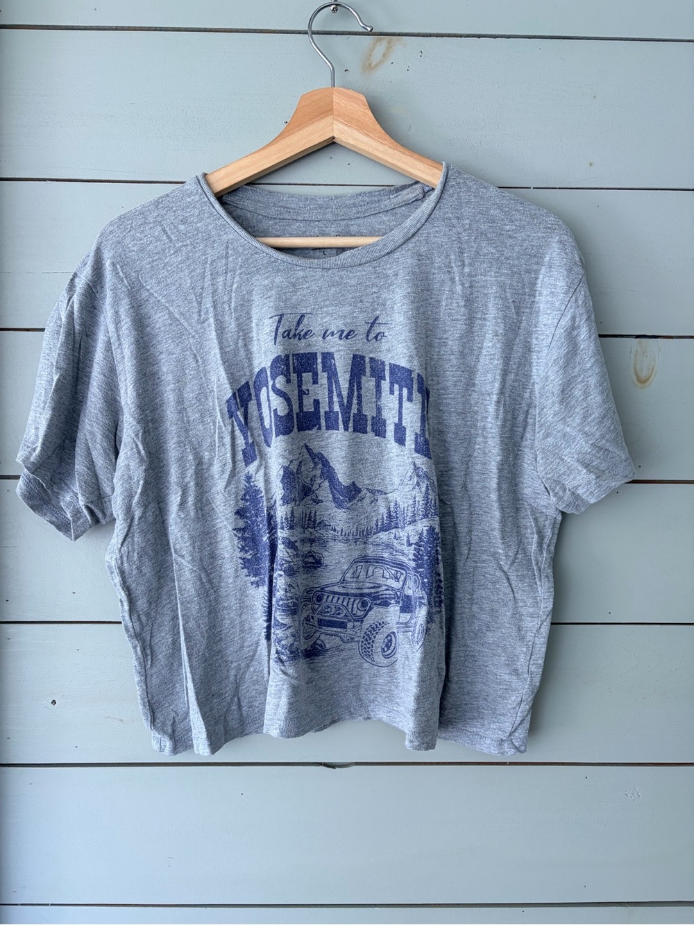 Rebellious One Take Me to Yosemite Graphic Tee | Large